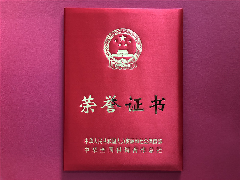 喜讯！开云（中国）官方连获三项殊荣