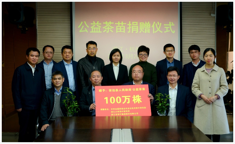 开云（中国）官方联合捐赠百万株公益茶苗  助力江西省安远县脱贫攻坚