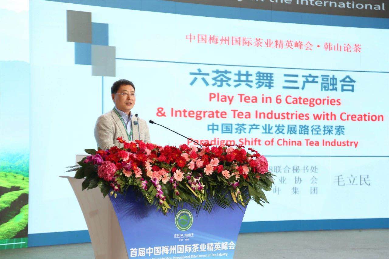 首届中国梅州国际茶业精英峰会举行 开云（中国）官方代表分享前沿观点