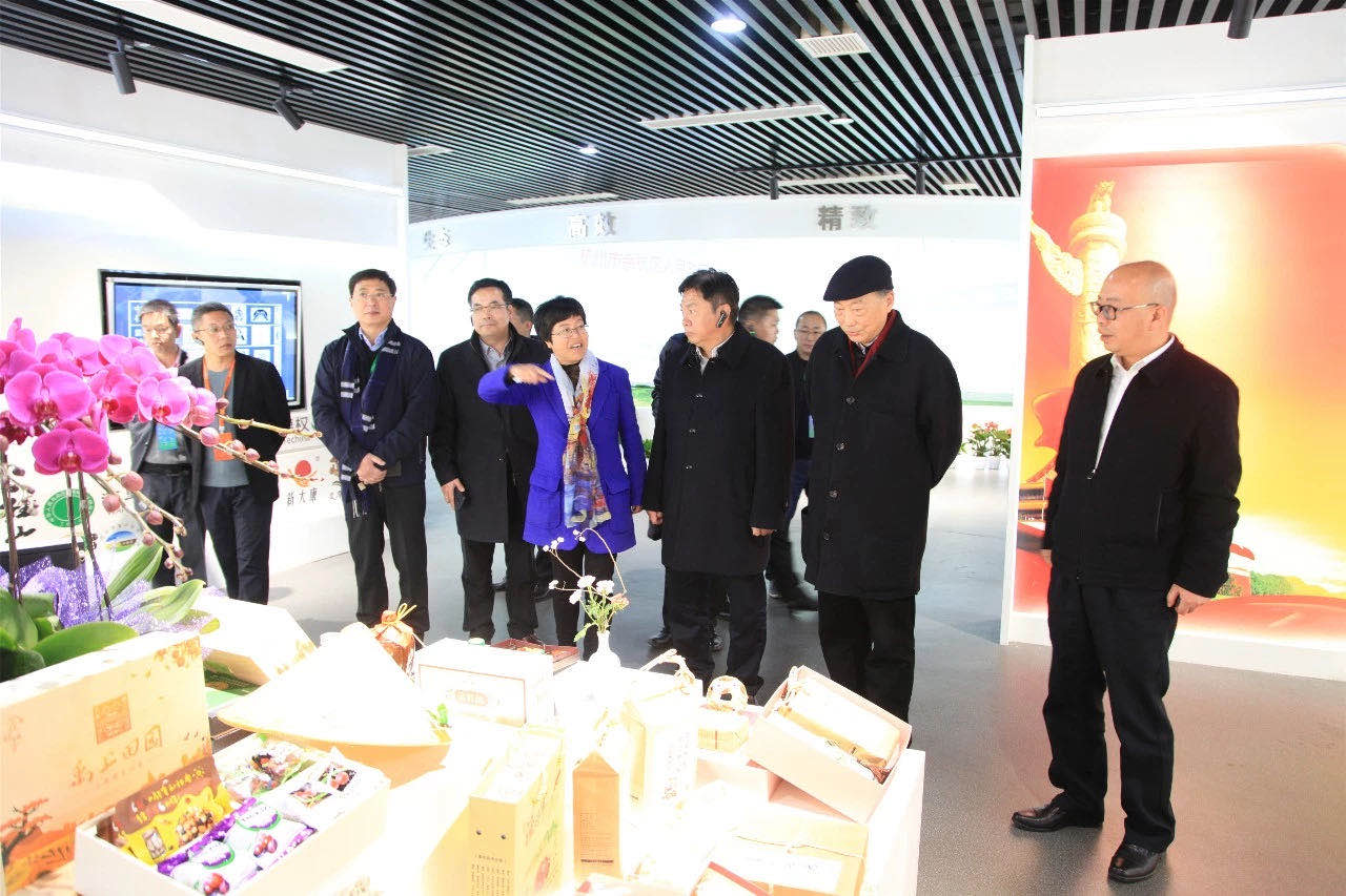 2019中国乡村振兴暨首届“一带一路”农业农村发展论坛嘉宾参观开云（中国）官方九宇有机茶博园