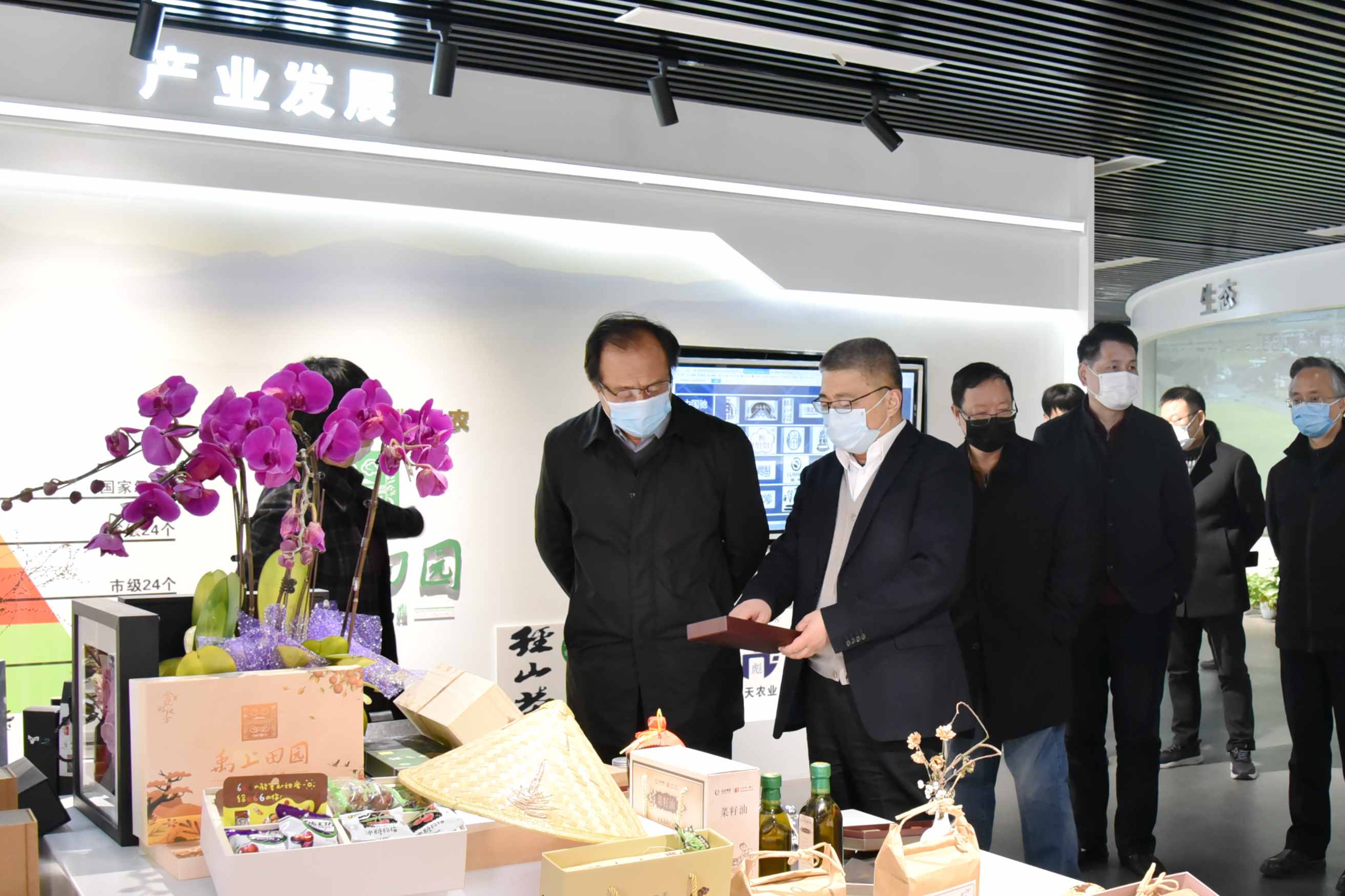 杭州市政协党组副书记、副主席翁卫军一行调研开云（中国）官方特种茶中心
